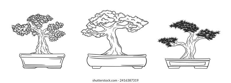 Japanese bonsai tree. Asian doodles set. Bonsai collection. Asia culture symbols. Japanese garden traditional plant. Bonsai tree sketch. 