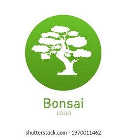 Japanese bonsai tree. Green round logo, tree icon. Bonsai silhouette vector illustration on isolated white background. Ecology, nature, bio concept. Design template. Text can be replaced