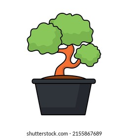 japanese bonsai tree on white background