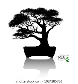 Japanese bonsai tree , plant silhouette icons on white background, Black silhouette of bonsai. Detailed image. Vector 