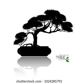 Japanese bonsai tree , plant silhouette icons on white background, Black silhouette of bonsai. Detailed image. Vector 