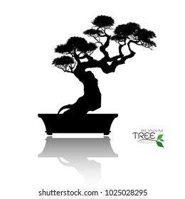 Japanese bonsai tree , plant silhouette icons on white background, Black silhouette of bonsai. Detailed image. Vector