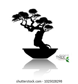 Japanese bonsai tree , plant silhouette icons on white background, Black silhouette of bonsai. Detailed image. Vector