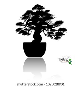 Japanese bonsai tree , plant silhouette icons on white background, Black silhouette of bonsai. Detailed image. Vector