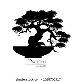 Japanese bonsai tree , plant silhouette icons on white background, Black silhouette of bonsai. Detailed image. Vector