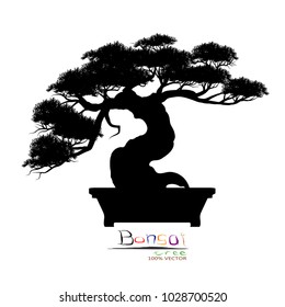 Japanese bonsai tree , plant silhouette icons on white background, Black silhouette of bonsai. Detailed image. Vector