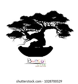 Japanese bonsai tree , plant silhouette icons on white background, Black silhouette of bonsai. Detailed image. Vector