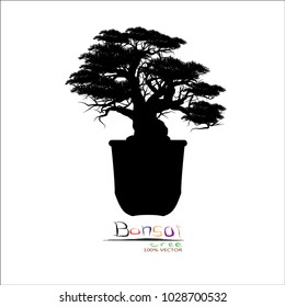 Japanese bonsai tree , plant silhouette icons on white background, Black silhouette of bonsai. Detailed image. Vector