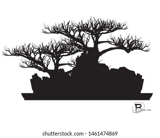 Japanese bonsai tree , plant silhouette icons on white background, Black silhouette of bonsai. Detailed image,Vector. mini trees.