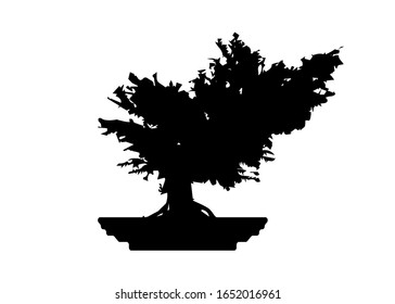 Japanese bonsai tree , plant silhouette icons on white background, Black silhouette of bonsai in the pot. Detailed image. Vector isolated