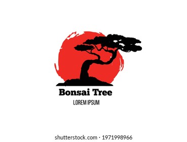 Japanese Bonsai Tree in the Sun Icon