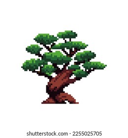 Japanese bonsai trees, in the style of pixel art. Beautiful realistic tree. Bonsai style tree. Decorative small tree. Vector isolated background.