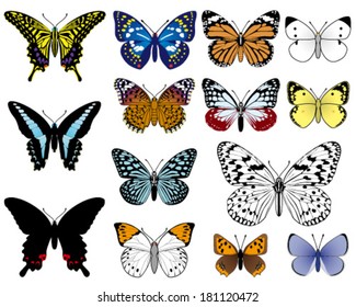 japanese butterflies, isolated on white background.