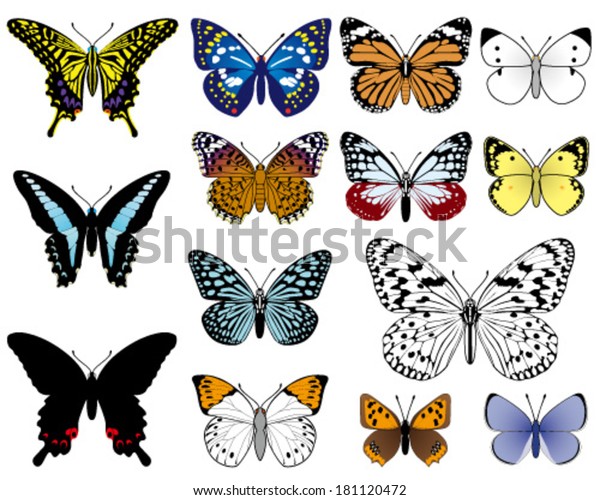 japanese\
butterflies, isolated on white\
background.