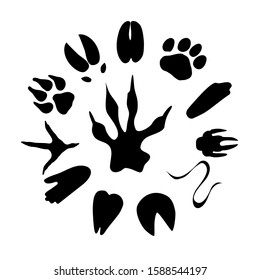 Japanese calendar of twelve animal tracks. 2020 year of the rat