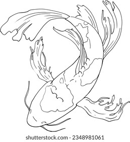 Japanese carp fish. Linear illustration, top view. Freehand drawing detailing the tail and fins. Vector image for quality printing. Japanese carp swims in the water. From the ZODIAC collection