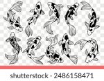 Japanese carp fish with spotted body and large fins swims in different positions. Traditional oriental fish living in national praks and tropical reserves of asia. Hand drawn doodle
