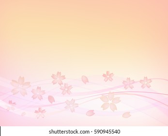 japanese cherry blossom 