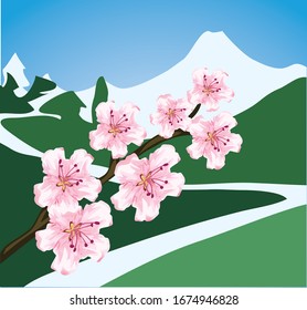 japanese cherry blossom flower with japan fuji scenery on background