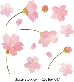 Japanese cherry blossom frame inspired by spring.
