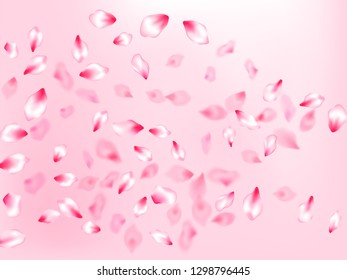 Japanese cherry blossom pink flying petals on rose color background. Blur effect bloom parts. Spring or summer light flower petals illustration. Isolated flower parts wedding decoration vector.