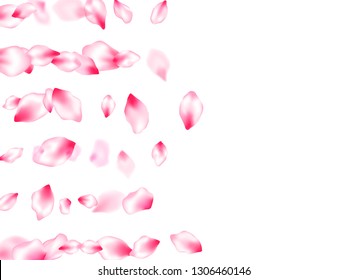 Japanese cherry blossom pink flying petals windy blowing background. Isolated flower parts wedding decoration vector. Flower blossom particles, petals rain shower. Park graphic elements.