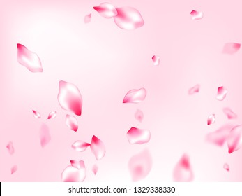 Japanese cherry blossom pink flying petals on rose color background. Isolated flower parts wedding decoration vector. Pastel rose color apple flower petals design. Delicate spring vector.