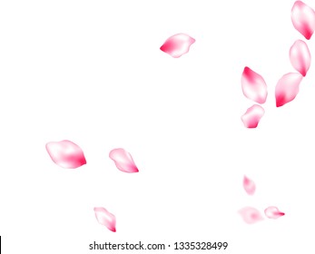 Japanese cherry blossom pink flying petals windy blowing background. Asian poster background. Spring or summer light flower petals illustration. Isolated flower parts wedding decoration vector.