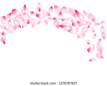 Japanese cherry blossom pink flying petals windy blowing background. Isolated flower parts wedding decoration vector. Pastel pink blossom petals floral design. Abstract card backdrop.