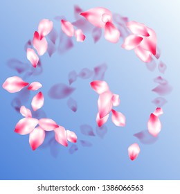 Japanese cherry blossom pink flying petals on blue sky background. Park graphic elements. Flower blossom particles, petals rain shower. Isolated flower parts wedding decoration vector.