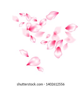 Japanese cherry blossom pink flying petals windy blowing background. Isolated flower parts wedding decoration vector. Natural marrige decor of chinese cherry petals. Abstract card backdrop.