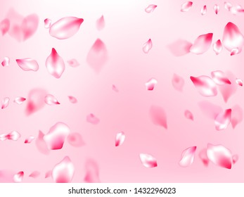 Japanese cherry blossom pink flying petals on rose color background. Isolated flower parts wedding decoration vector. Natural marrige decor of chinese cherry petals. Birthday card backdrop.