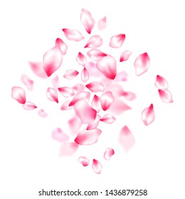 Japanese cherry blossom pink flying petals windy blowing background. Isolated flower parts wedding decoration vector. Pastel pink blossom petals floral design. Close up bloom elements.