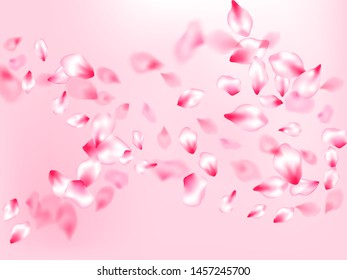 Japanese cherry blossom pink flying petals on rose color background. Isolated flower parts wedding decoration vector. Natural marrige decor of chinese cherry petals. Cosmetics composition.