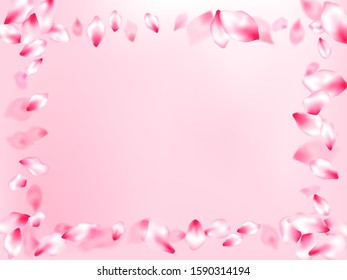 Japanese cherry blossom pink flying petals on rose color background. Birthday card backdrop. Realistic peach flolwer petals natural decor. Isolated flower parts wedding decoration vector.