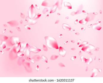 Japanese cherry blossom pink flying petals on rose color background. Isolated flower parts wedding decoration vector. Natural marrige decor of chinese cherry petals. Close up bloom elements.