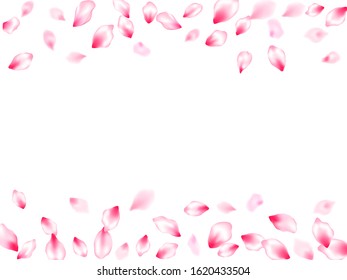 Japanese cherry blossom pink flying petals windy blowing background. Oriental composition. SPA beauty illustration of sakura bloom petals. Isolated flower parts wedding decoration vector.