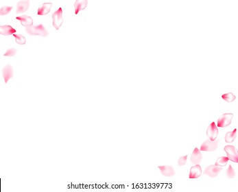 Japanese cherry blossom pink flying petals windy blowing background. Postcart background. Realistic peach flolwer petals natural decor. Isolated flower parts wedding decoration vector.