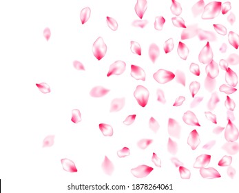Japanese cherry blossom pink flying petals windy blowing background. Park graphic elements. SPA beauty illustration of sakura bloom petals. Isolated flower parts wedding decoration vector.
