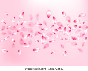 Japanese cherry blossom pink flying petals on rose color background. Springtime symbols. Pastel pink blossom petals floral design. Isolated flower parts wedding decoration vector.