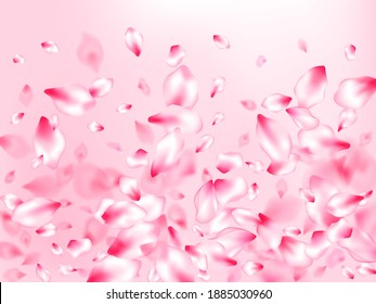 Japanese cherry blossom pink flying petals on rose color background. Isolated flower parts wedding decoration vector. Floral natural blossom soft petals illustration. Blur effect bloom parts.