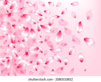 Japanese cherry blossom pink flying petals on rose color background. Isolated flower parts wedding decoration vector. SPA beauty illustration of sakura bloom petals. Fresh blowing backdrop.