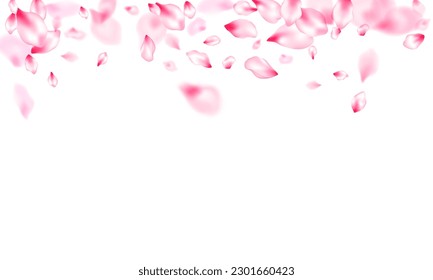 Japanese cherry blossom pink flying petals windy blowing background. Garden bloom parts. Pastel pink blossom petals floral design. Isolated flower parts wedding decoration vector.