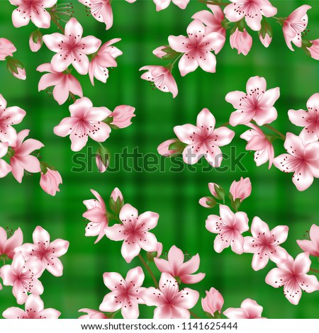 Japanese Cherry Blossom Sakura Branches Vector Stock Vector Royalty