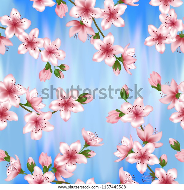 Japanese Cherry Blossom Sakura Branches Vector Stock Image