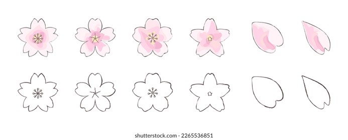 Japanese cherry blossom watercolor painting, hand drawn sakura petals, vector icon illustration material set