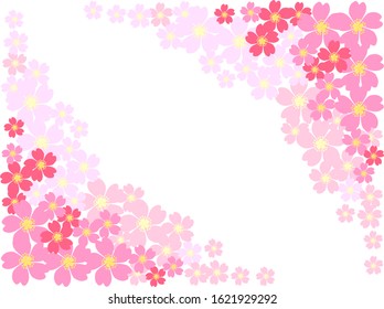 Japanese cherry blossoms, background material