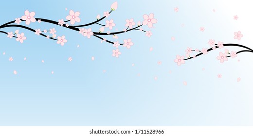 Japanese Cherry Blossoms and Branches Pattern background, Sakura flower vector illustration, Blue sky backgrounds 