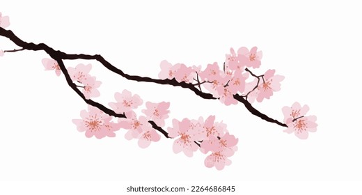 Japanische Kirschblüten, Sakura, Frühlingsblumen, Vektorgrafik