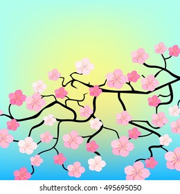 Japanese cherry branches on a background of sunset sky vector illustration